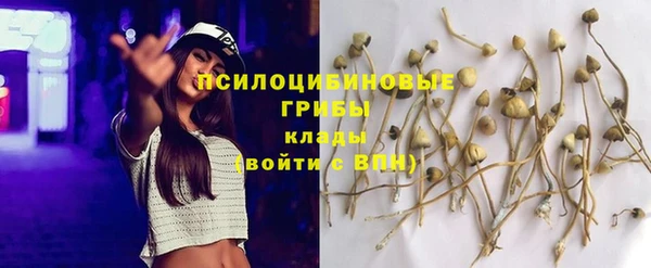 mdma Инсар