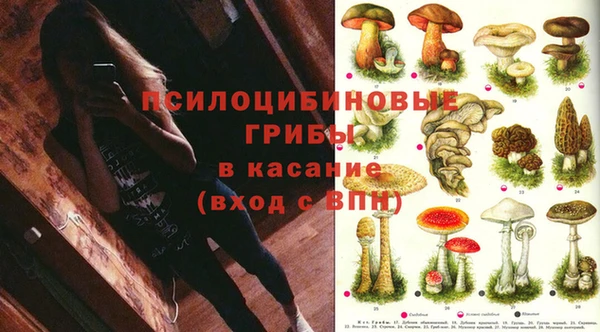 каннабис Инта