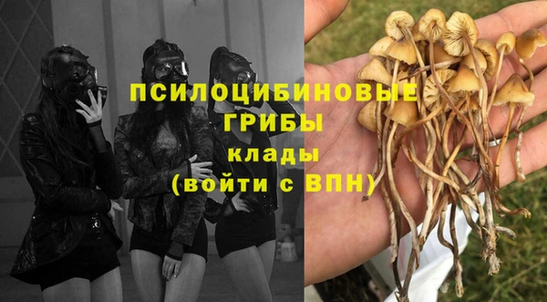 mdma Инсар