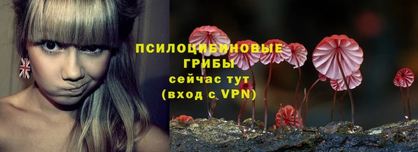 герыч Иннополис