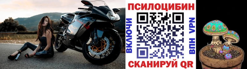 Галлюциногенные грибы мухоморы Горячий Ключ