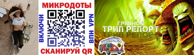 Купить где Горячий Ключ Галлюциногенные грибы Psilocybine cubensis